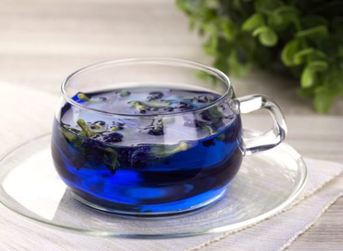 Анчан — синий чай из Таиланда